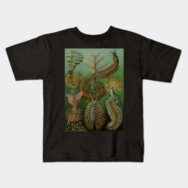 Annelids Chaetopoda by Ernst Haeckel Kids T-Shirt by MasterpieceCafe